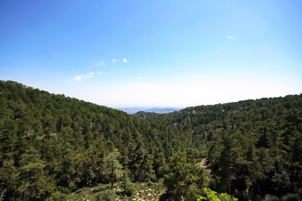 Auf dem Weg zu dem Bergdorf Kato Platres