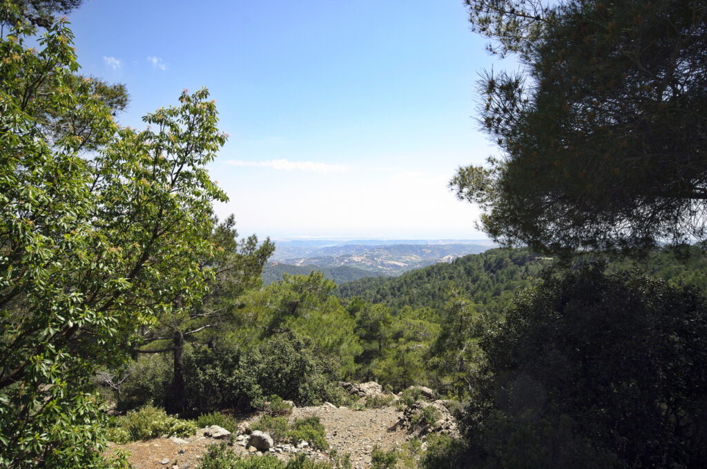 Auf dem Weg zu dem Bergdorf Omodos
