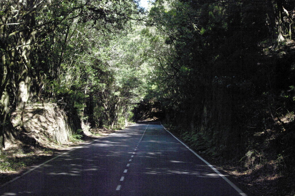 Auf dem Weg zum Nationalpark Garajonay
