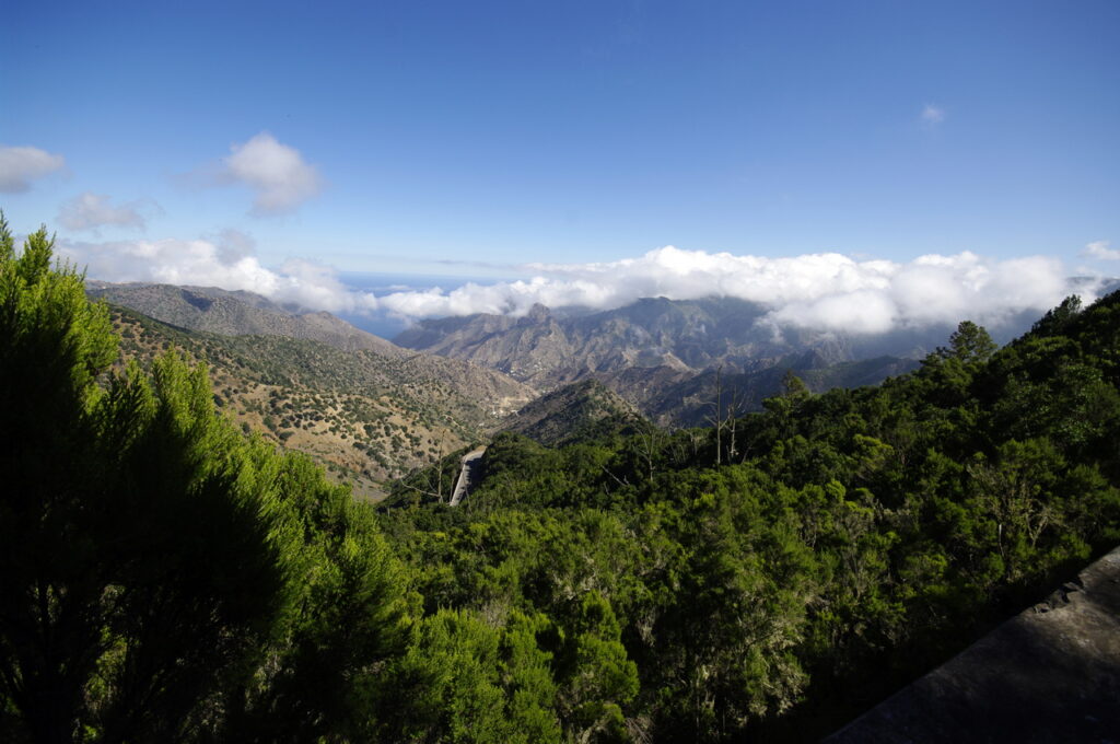 Auf dem Weg zum Nationalpark Garajonay
