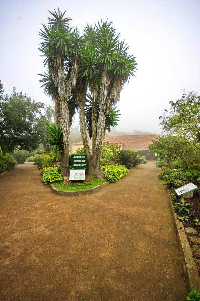 Centro De Visitantes de Juegos de Bolas