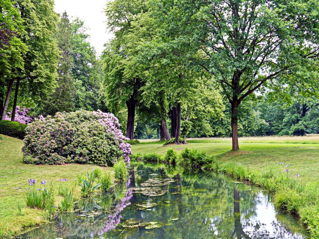 Fürst Pückler Park