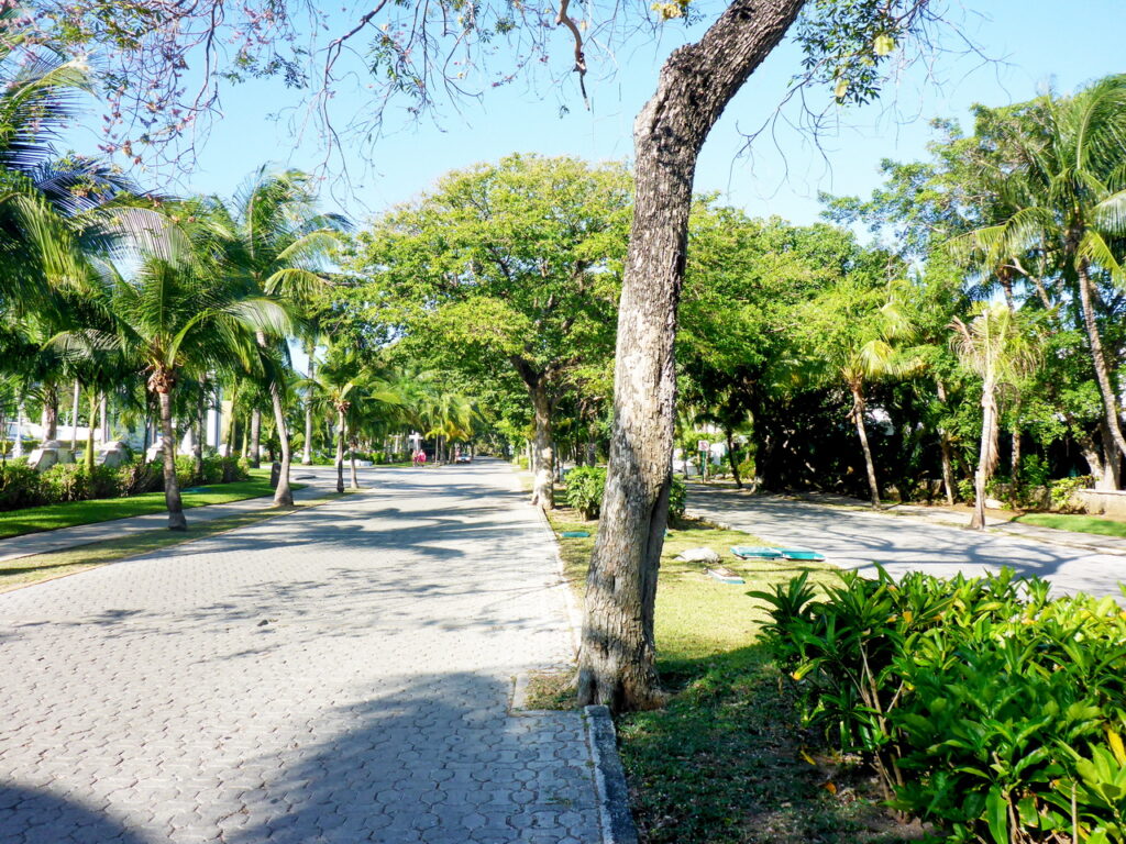 Playa del Carmen