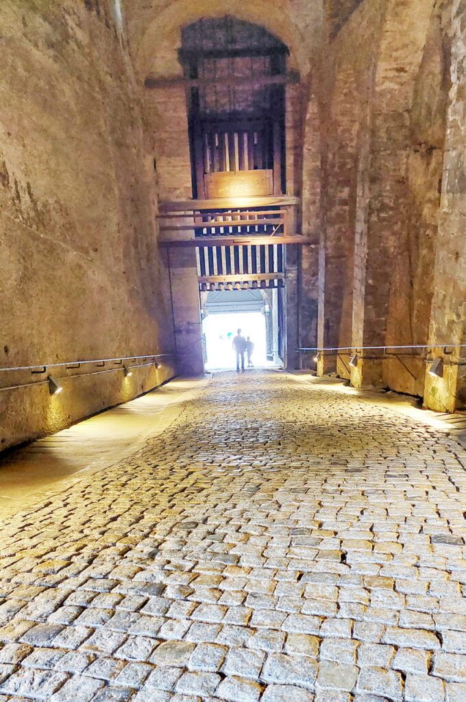 Festung Königstein