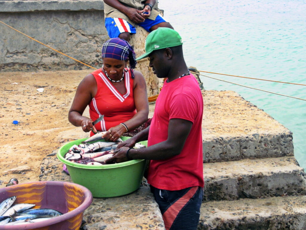 Frischer Fisch im Hafen von Sal Rei