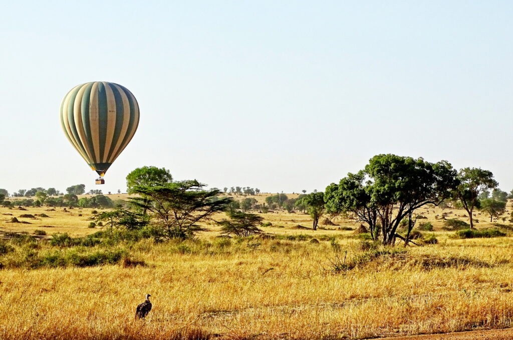 Im Heißluftballon über die Serengeti