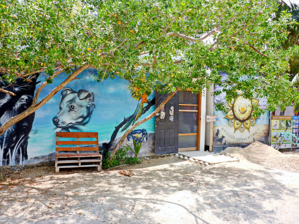 Wandmalereien in Holbox