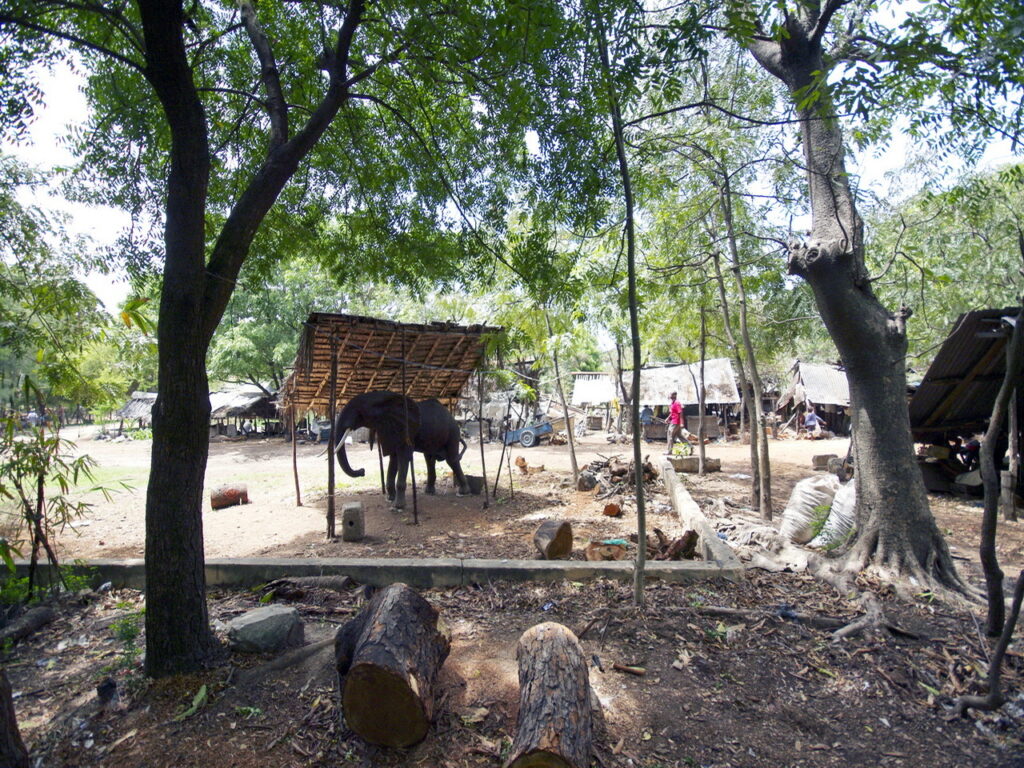 Akamba Village (Holzschnitzerdorf)
