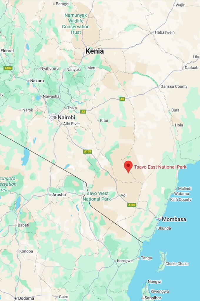 Copyright 2025 - Google Maps / Tsavo East National Park