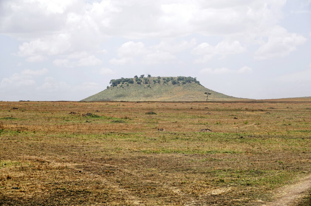 In der Serengeti