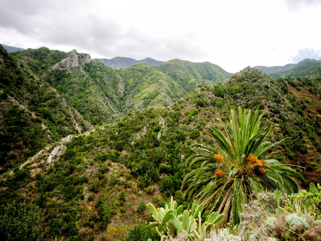 Landschaftliche Impressionen
