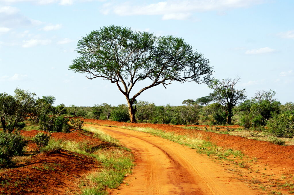 Tsavo East National Park