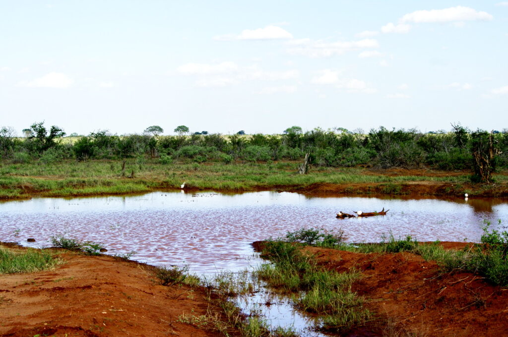 Tsavo East National Park