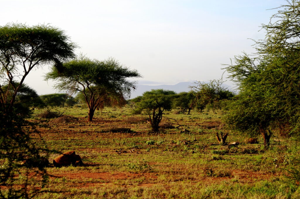 Tsavo East National Park