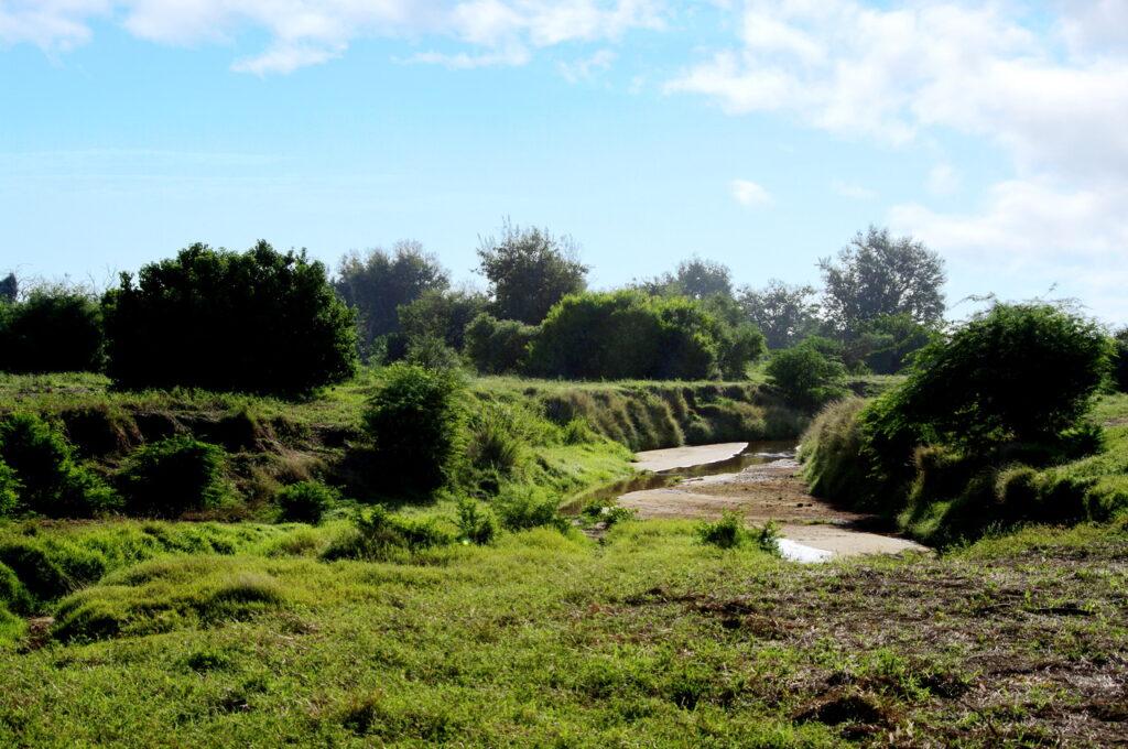 Tsavo East National Park