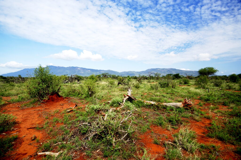 Tsavo East National Park