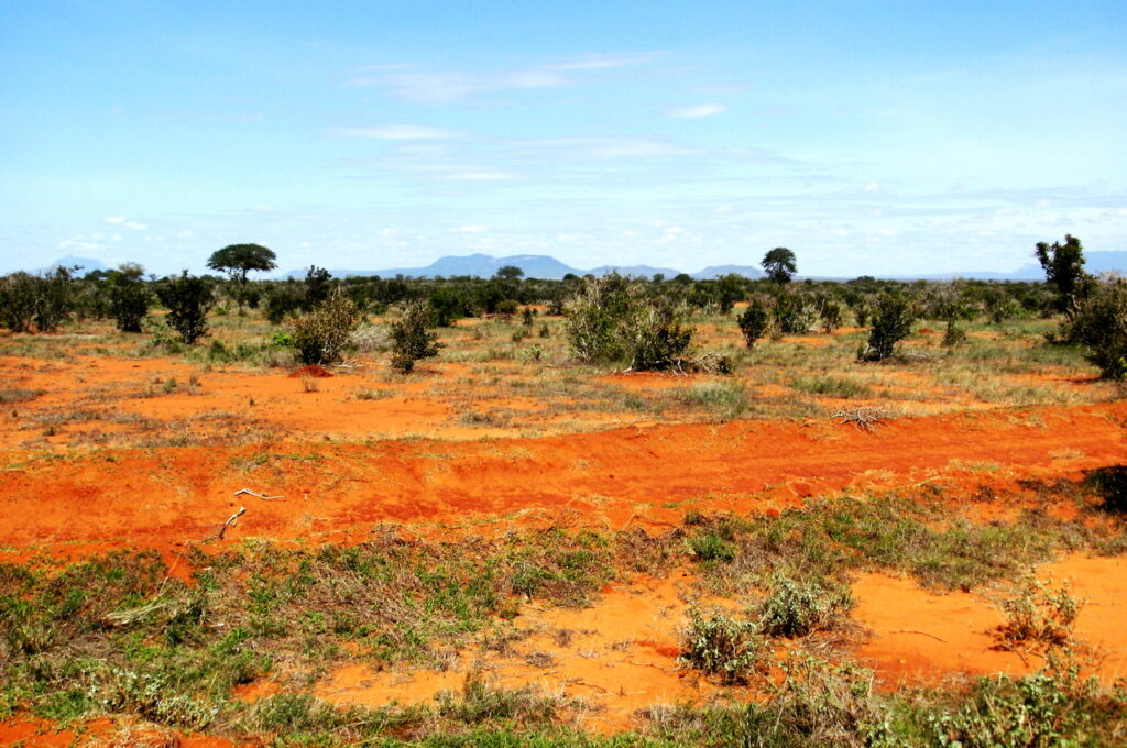 Tsavo East National Park