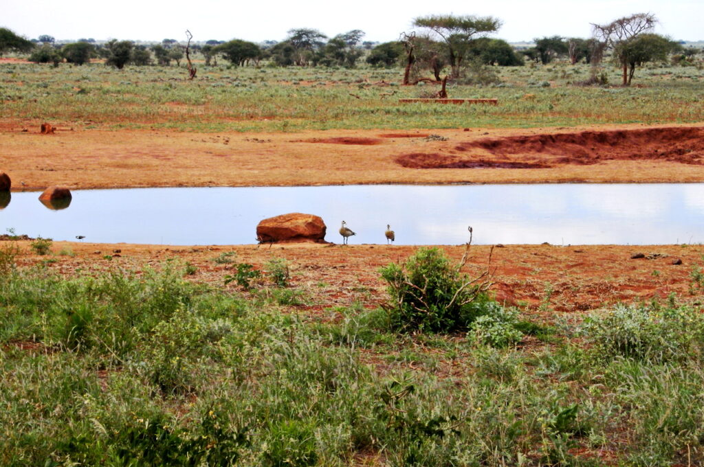 Tsavo East National Park