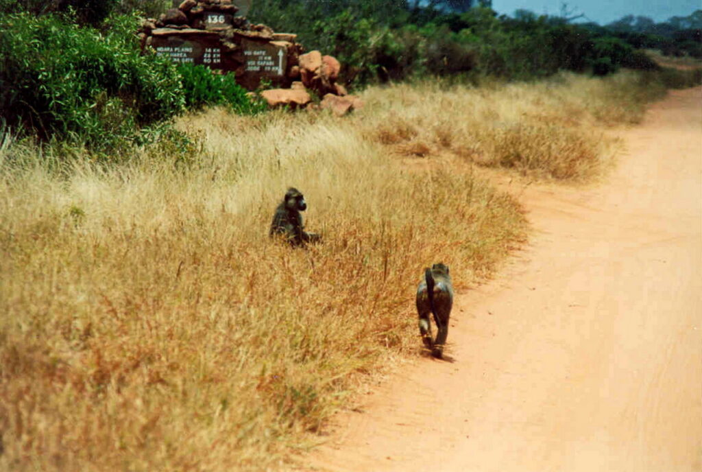 Tsavo-East-Nationalpark