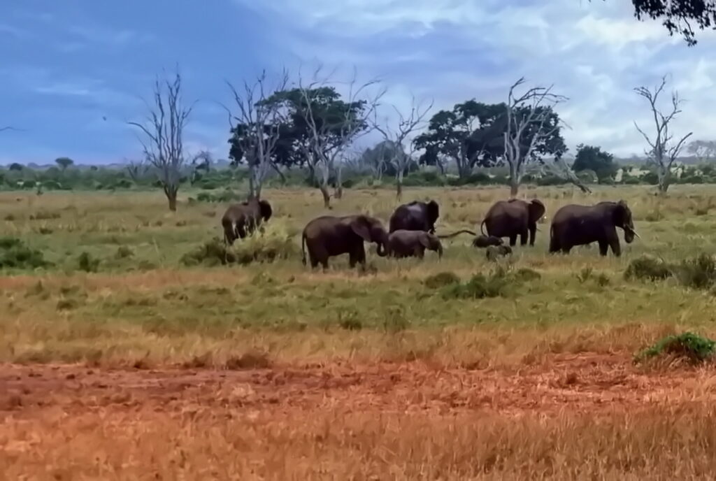 Tsavo-East-Nationalpark