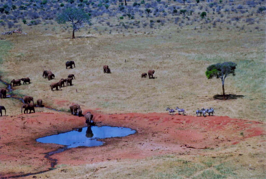 Tsavo-East-Nationalpark
