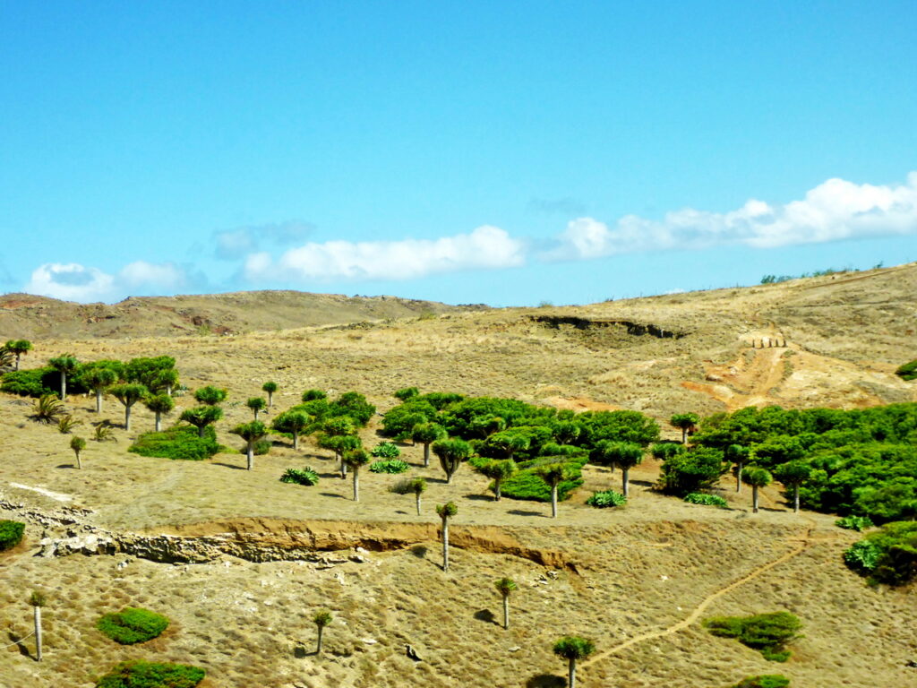 Auf der Fahrt nach Ponta de São Lourenço