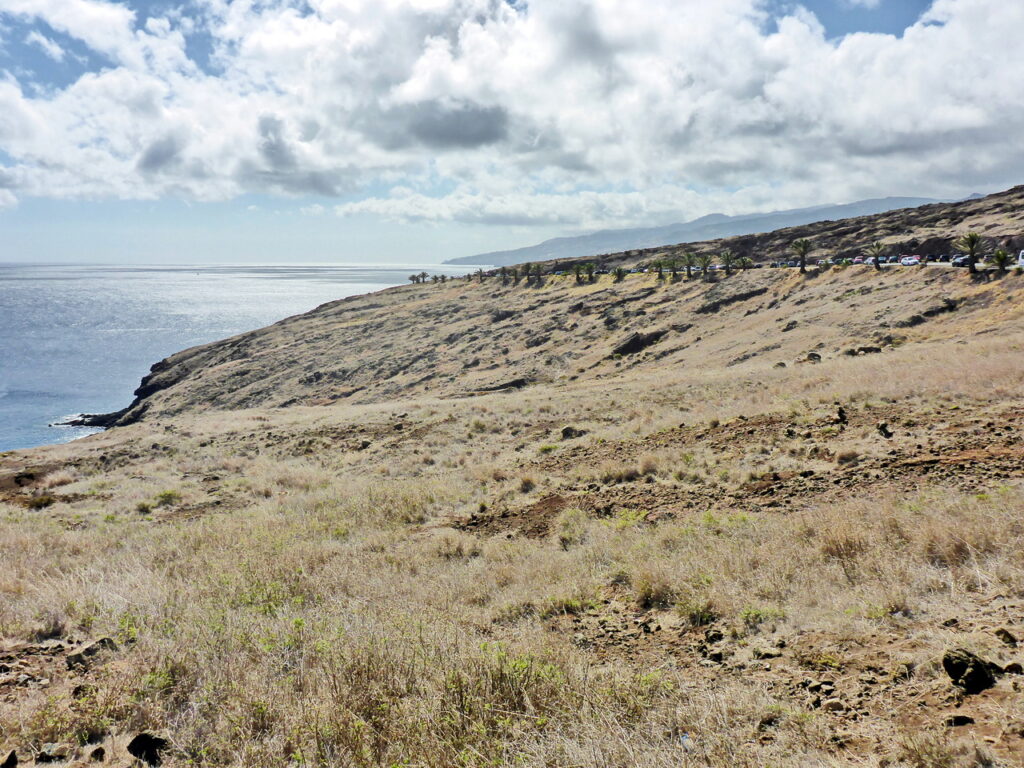 Ponta de São Lourenço
