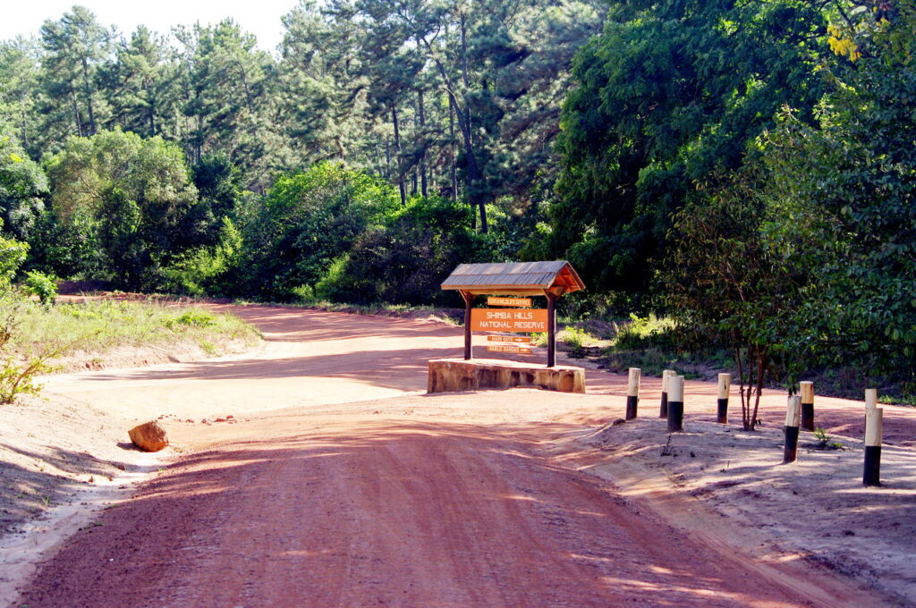 Shimba Hills National Reserve