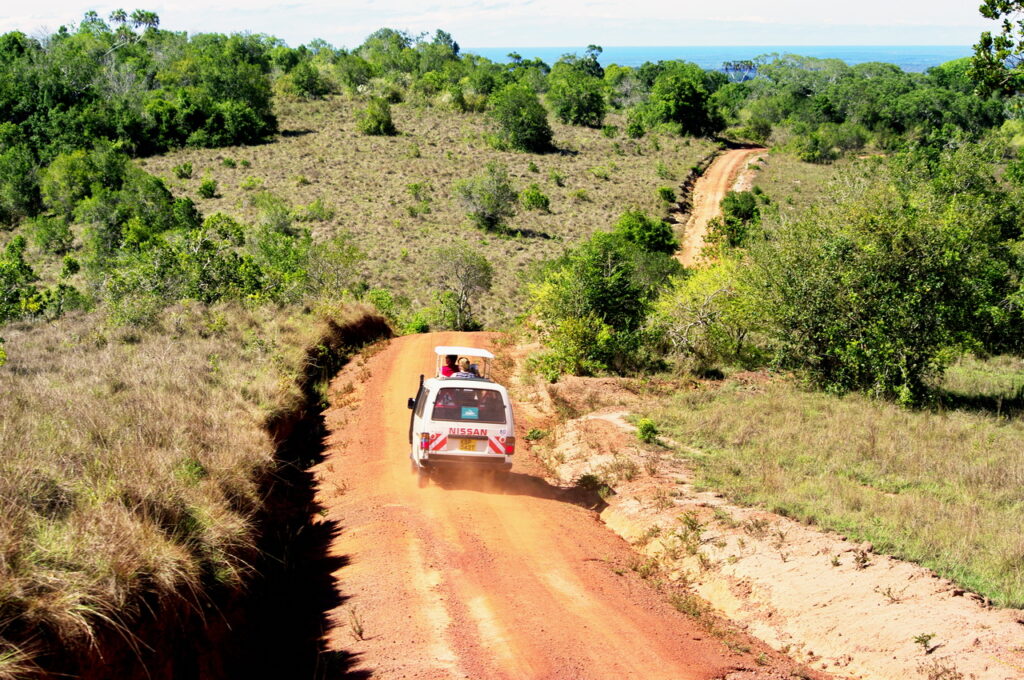 Shimba Hills National Reserve