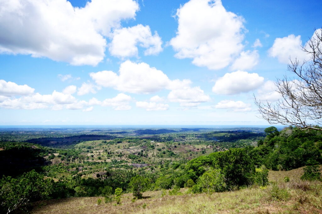 Shimba Hills National Reserve