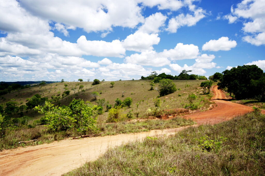 Shimba Hills National Reserve