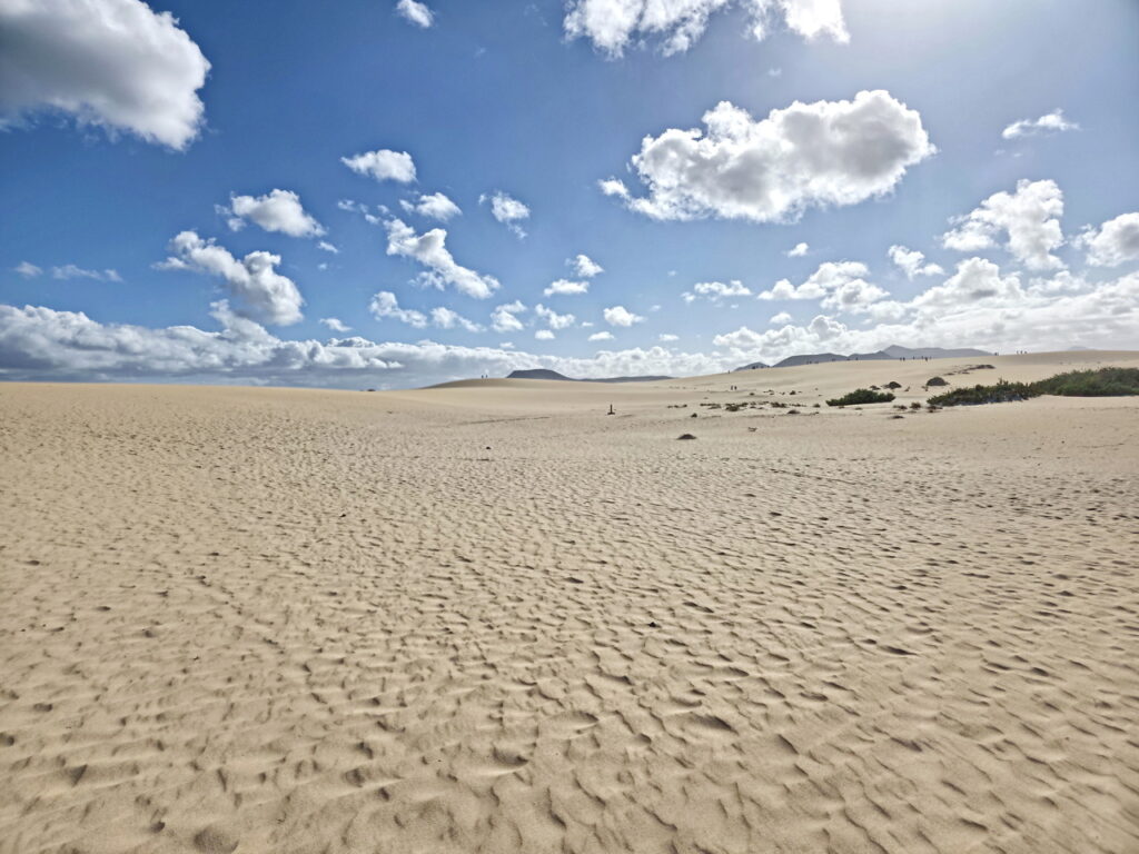 Parque Natural de Corralejo mit seinen ausgedehnten Sanddünen