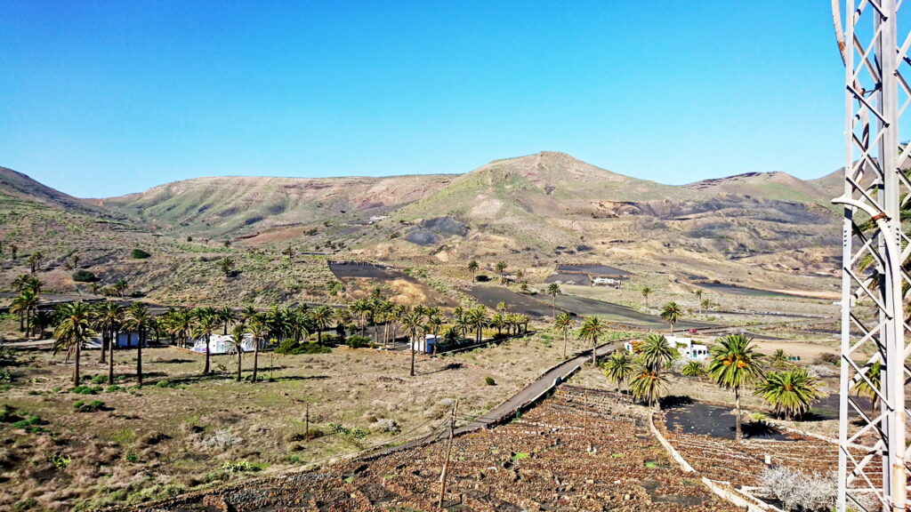 Tal der Tausend Palmen