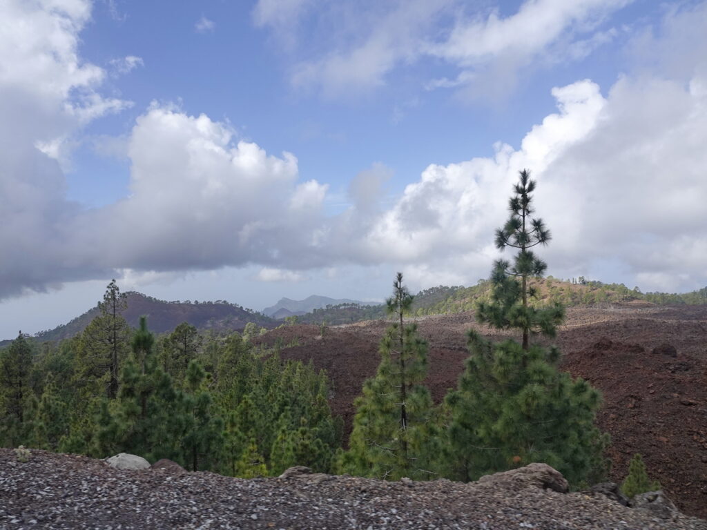 Teide Nationalpark