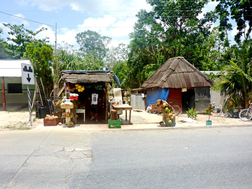 Impressionen am Straßenrand