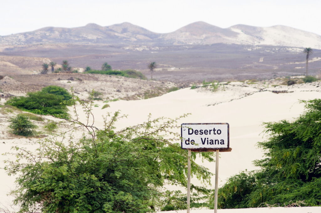 Wüste Viana